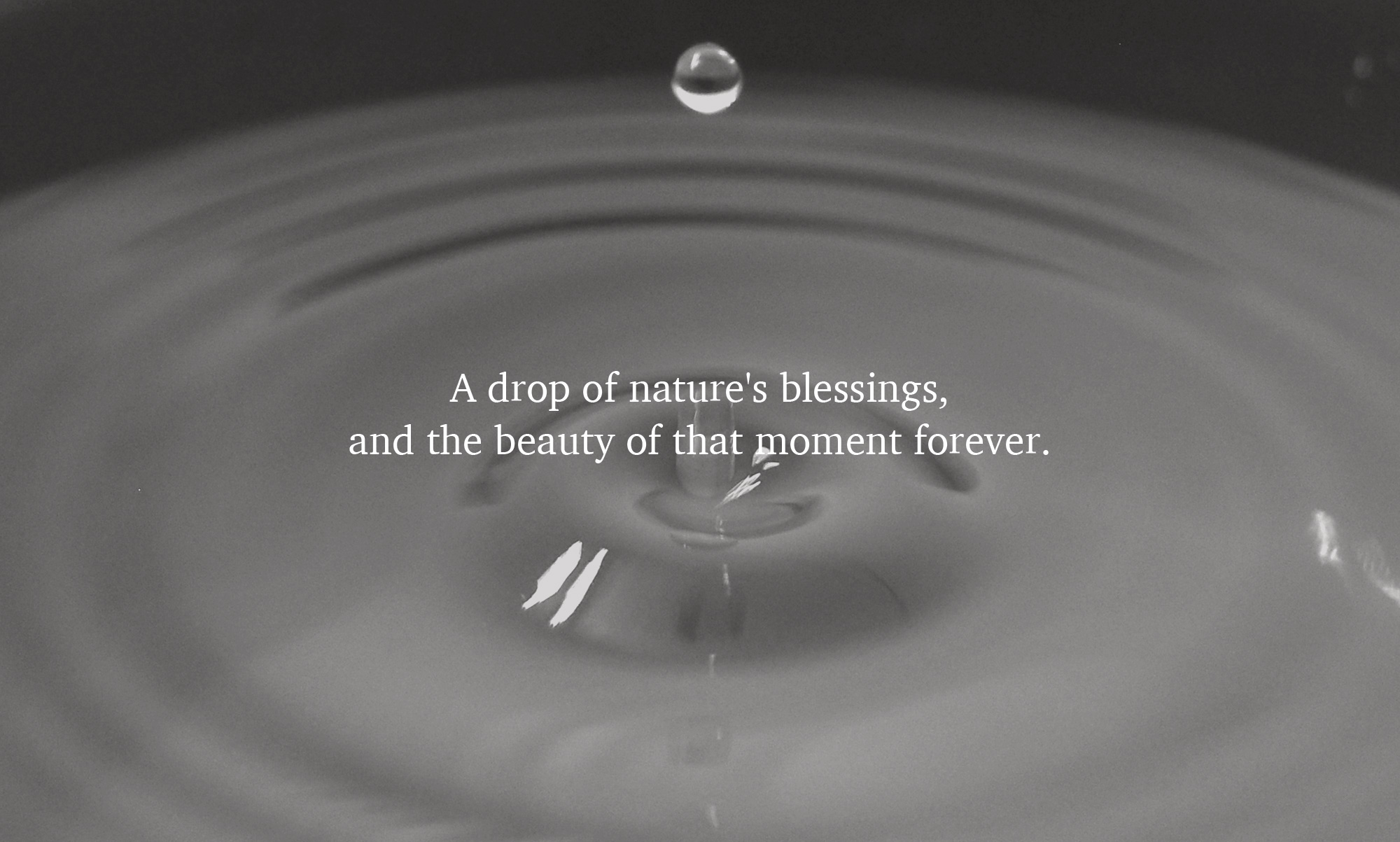 自然からの恵み「一滴」その一瞬の美しさを永遠に
